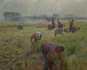 埃米尔克劳斯 - Flax harvesting